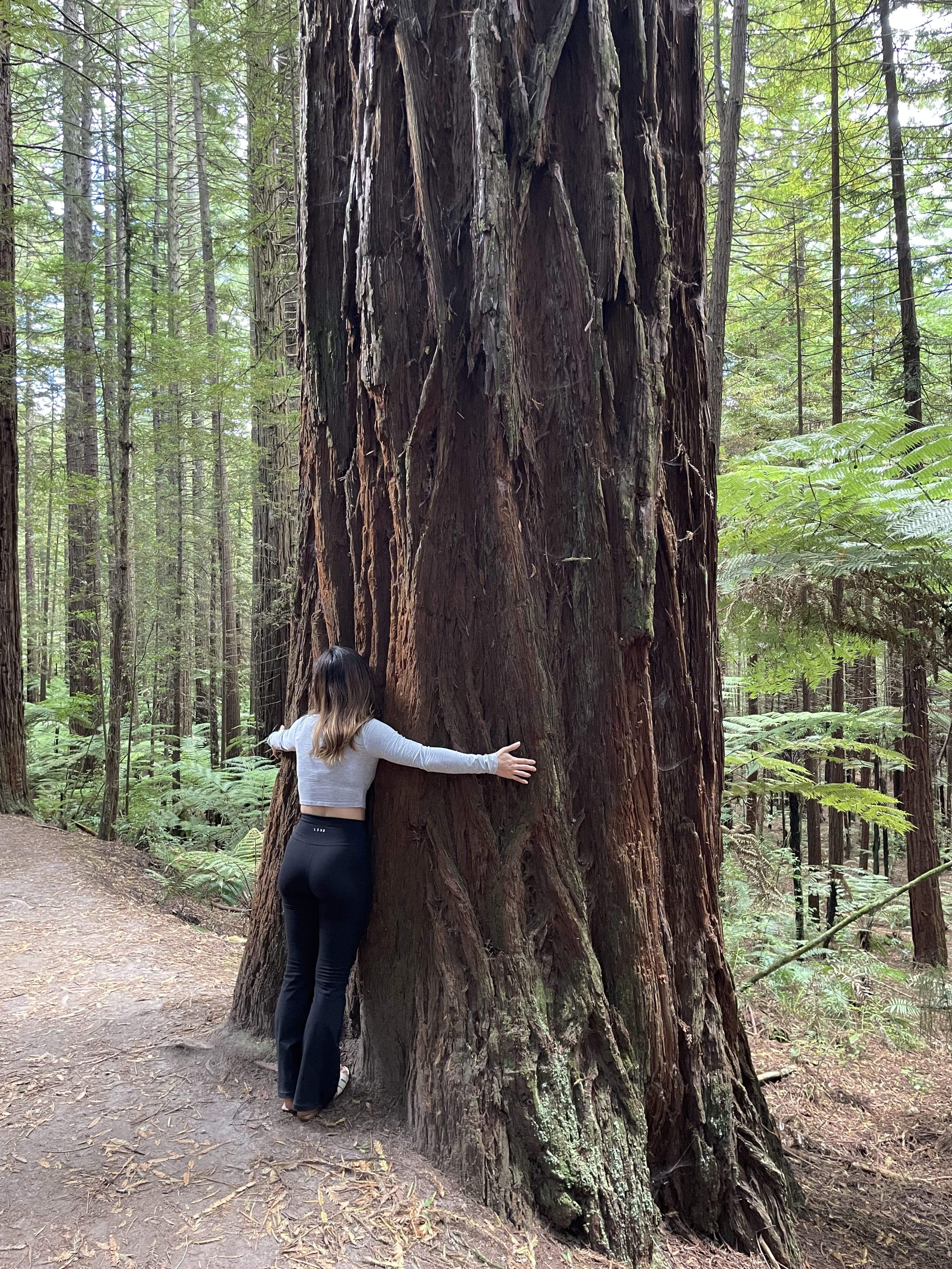 welcome-center-image